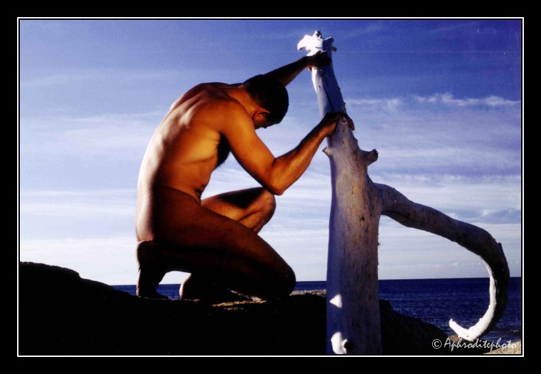 003 La branche de la mer